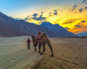 travel packages to Ladakh