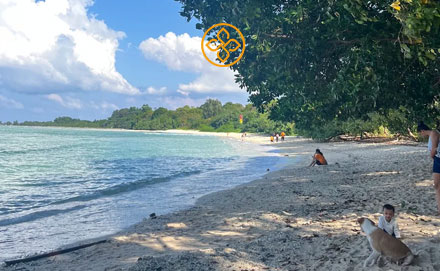 Best of Andaman Tour Package - Andaman tour package