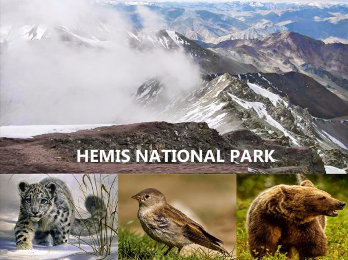 Best 5 Things to do in Hemis National Park