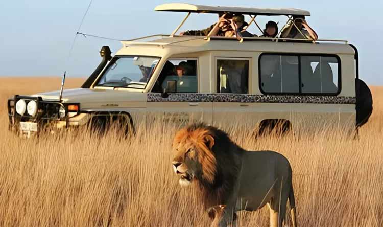 Witnessing the Great Migration: A Step-by-Step Guide to Planning Your Kenya Safari