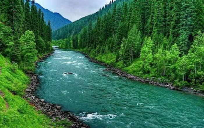 Best Things to Do in Pulwama