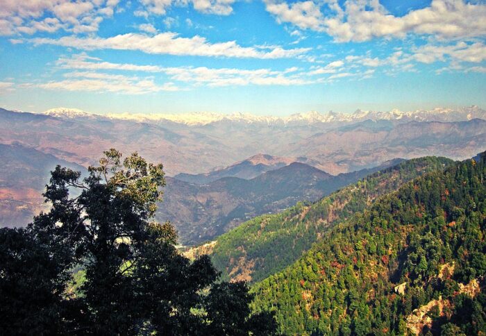 Things To Do in Chail Kangra