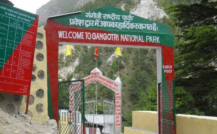 Most Famous Gangotri National Park Uttarakhand