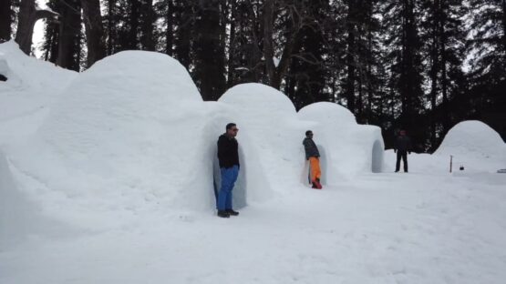 Pack Your Bags & Go Manali To Stay In Igloo Camp