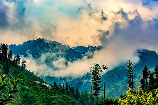 Janjehli the most unexplored place in Himachal Pradesh