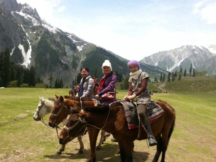 Famous Pony Ride in Kashmir Valley