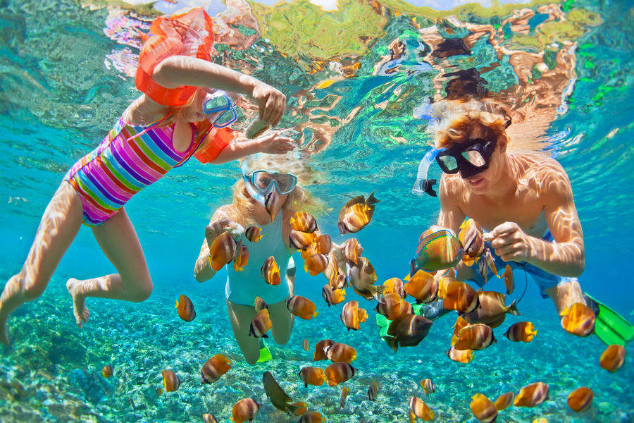 Snorkelling - Things to do in Andaman and Nicobar Island