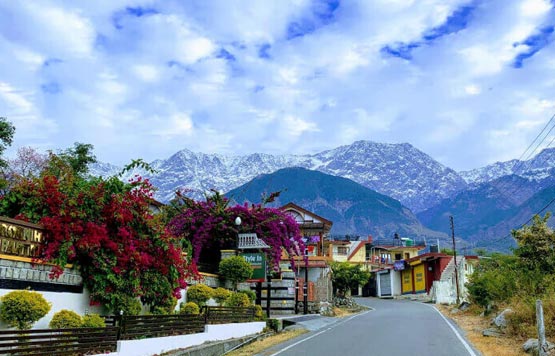 honeymoon tour packages to Dharamshala