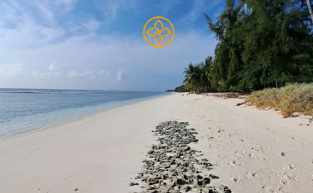 Goa Tour For 3 Nights 4 Days - Goa tour package