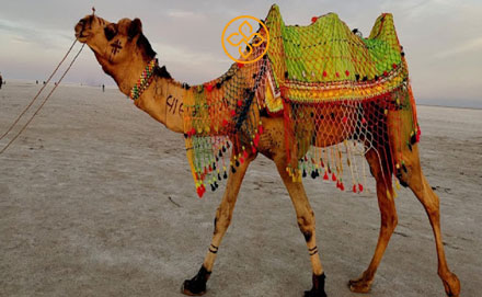 Bhuj Jamnagar Bhavnagar Tour Package - Gujarat tour package