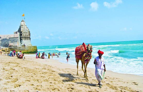 8 Days Tour Package to Gujarat