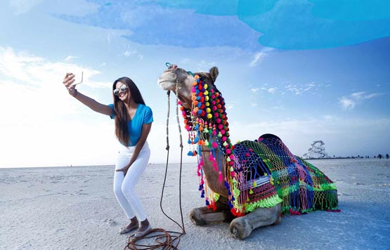 Gujarat Tour Package for 7 Nights 8 Days