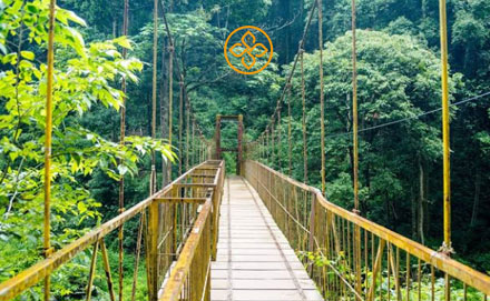 Bangalore Coorg Mysore Tour Package - Karnataka tour package