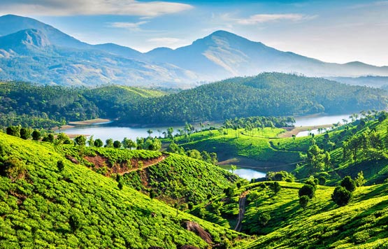 tour packages to kerala from delhi