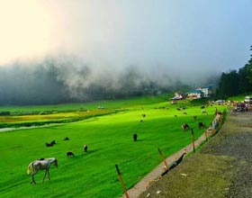 travel packages to manali