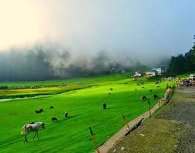 travel packages to shimla