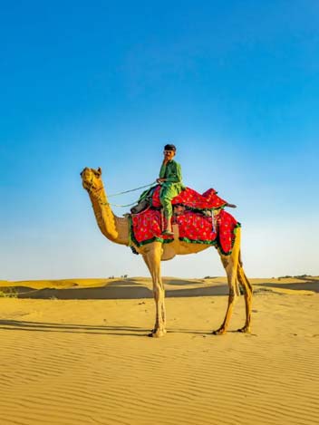 tour and travel agency in mumbai