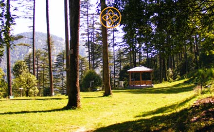 Mussoorie Dhanaulti Tour Package - Uttarakhand tour package