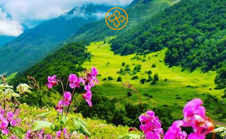 Valley of Flower Trek Uttarakhand - Uttarakhand tour package