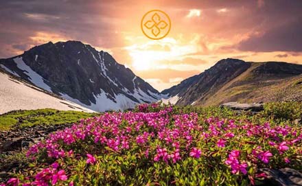 Valley Of Flowers Trek Tour Uttarakhand - Uttarakhand tour package
